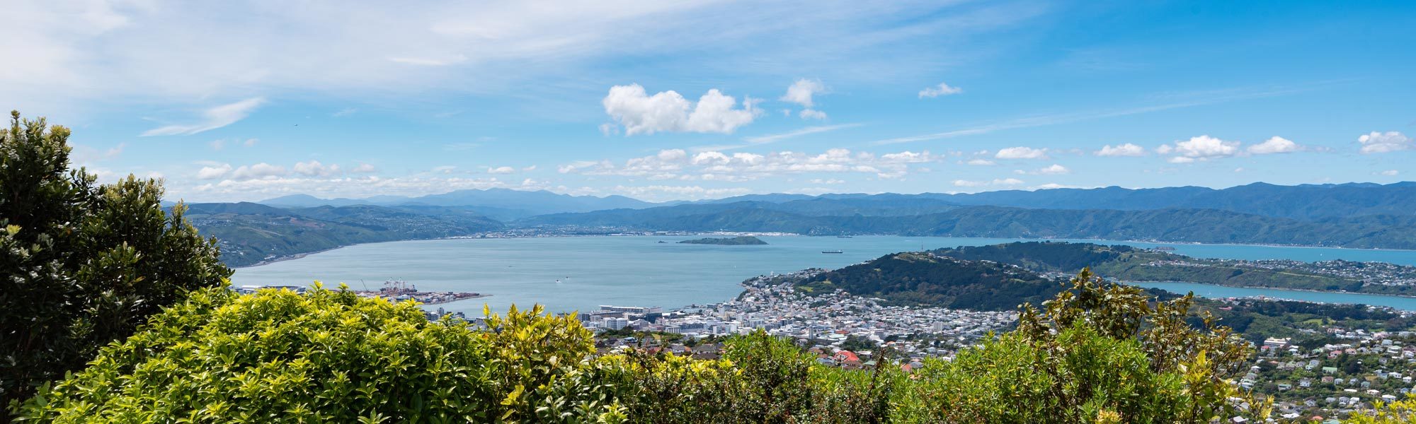 Moving Companies Wellington Removal Company Hutt Valley